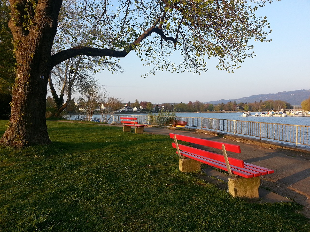 和精明的商 和精明的商