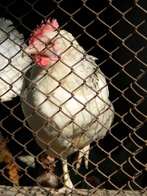 我们看到了 我们看到了