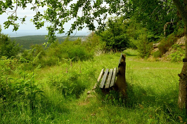 强大的爆发 强大的爆发