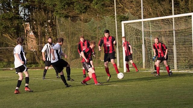 从托特纳姆 从托特纳姆