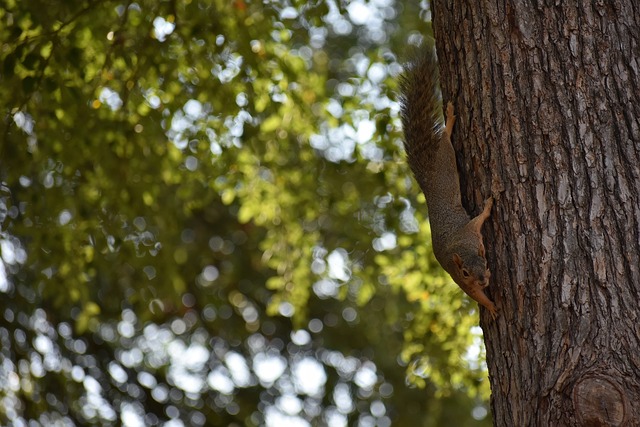 另一方面也 另一方面也