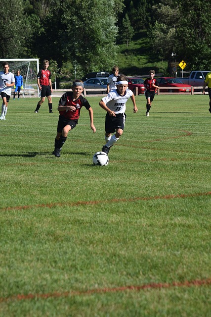 对于大藤沙 对于大藤沙